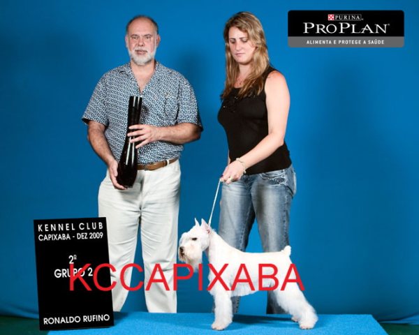 Clique sobre a foto para fechar